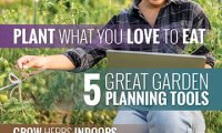 Thaw out winter gardening blues with spring planning